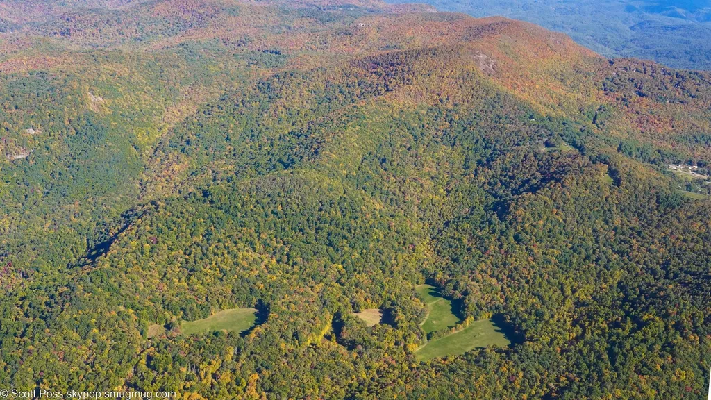 1575 Lloyd Cove Road Scaly Mountain NC 28775