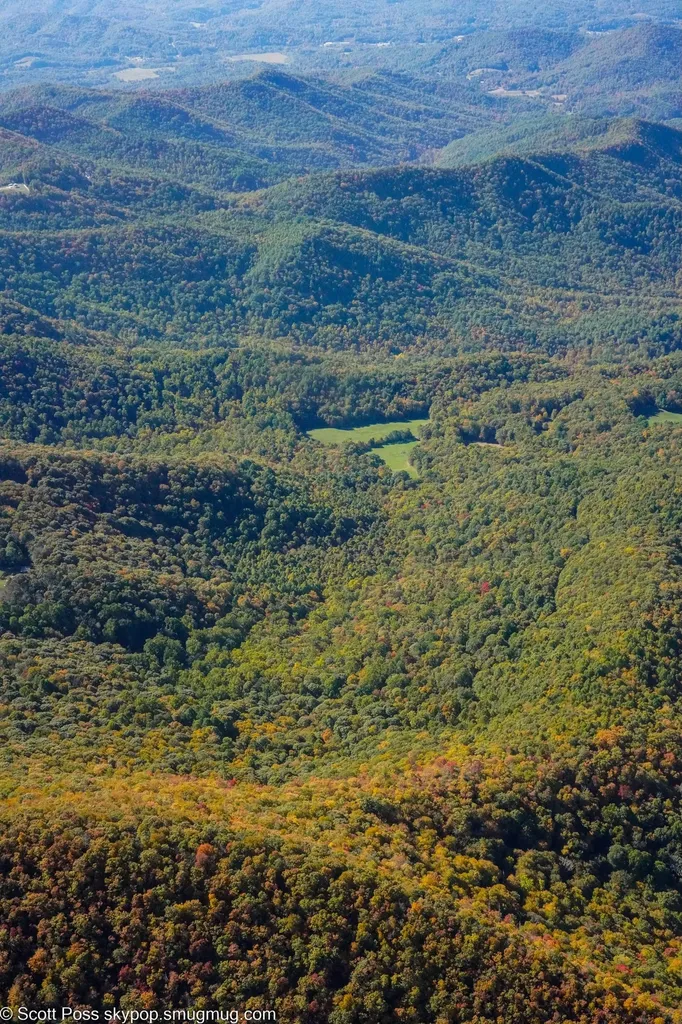 1575 Lloyd Cove Road Scaly Mountain NC 28775