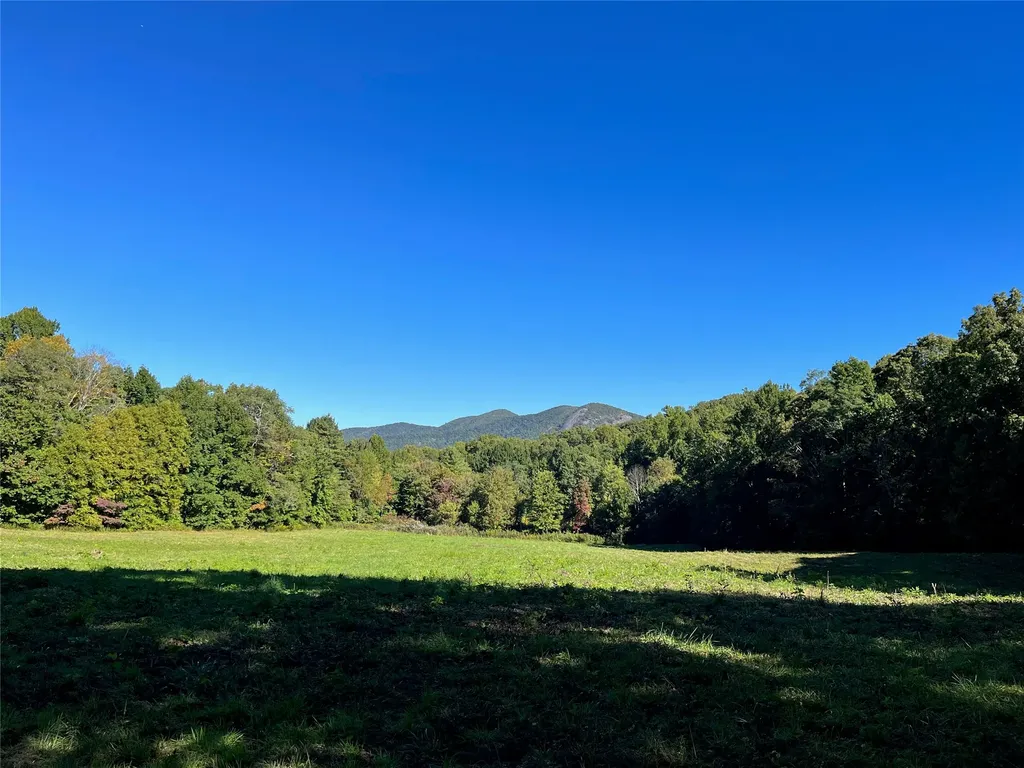 1575 Lloyd Cove Road Scaly Mountain NC 28775