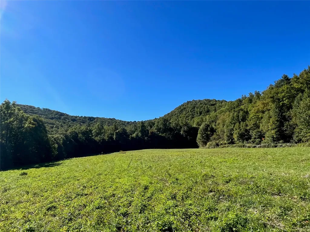 1575 Lloyd Cove Road Scaly Mountain NC 28775