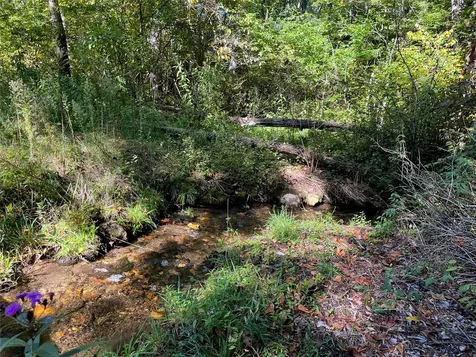 1575 Lloyd Cove Road Scaly Mountain NC 28775