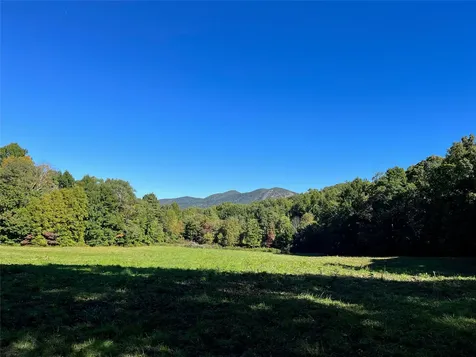 1575 Lloyd Cove Road Scaly Mountain NC 28775