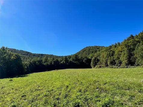 1575 Lloyd Cove Road Scaly Mountain NC 28775
