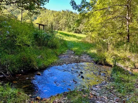 1575 Lloyd Cove Road Scaly Mountain NC 28775