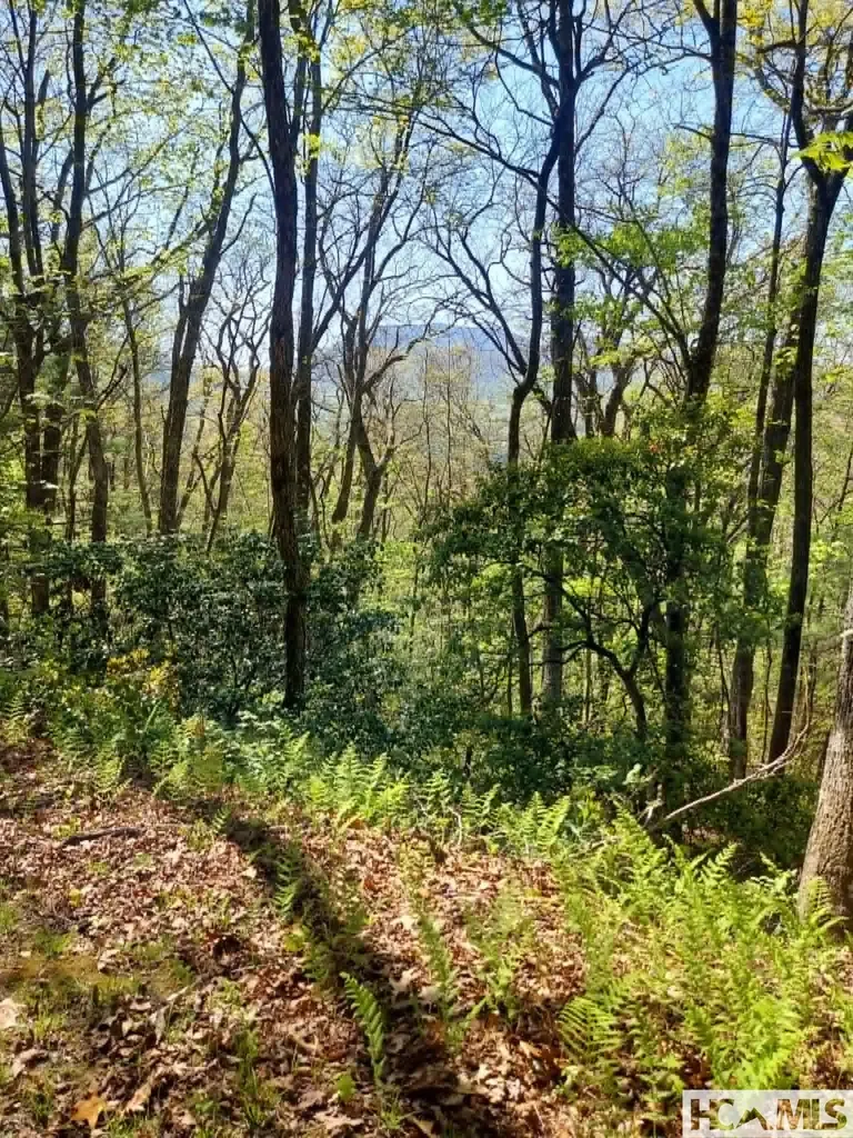0 Pipetrack Gap Road Scaly Mountain NC 28775
