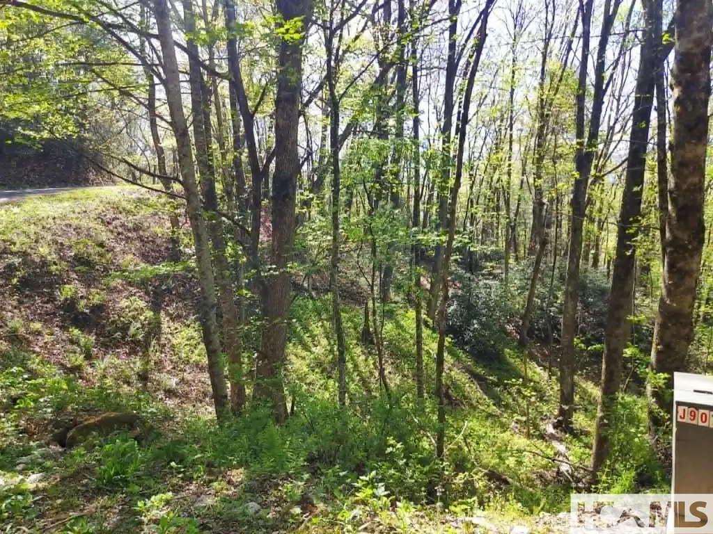 0 Pipetrack Gap Road Scaly Mountain NC 28775