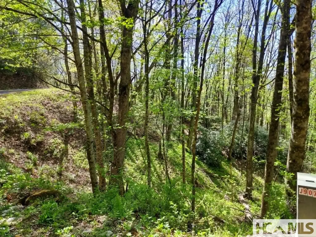0 Pipetrack Gap Road Scaly Mountain NC 28775