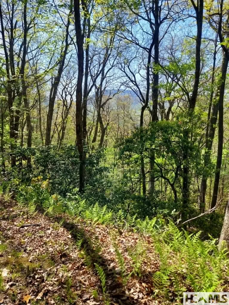 0 Pipetrack Gap Road Scaly Mountain NC 28775