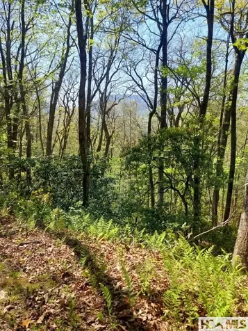 0 Pipetrack Gap Road Scaly Mountain NC 28775