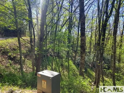 0 Pipetrack Gap Road Scaly Mountain NC 28775