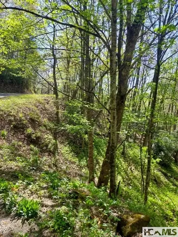 0 Pipetrack Gap Road Scaly Mountain NC 28775
