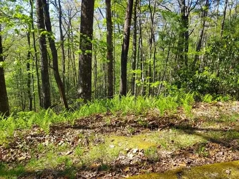 0 Pipetrack Gap Road Scaly Mountain NC 28775