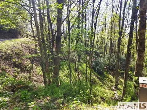 0 Pipetrack Gap Road Scaly Mountain NC 28775