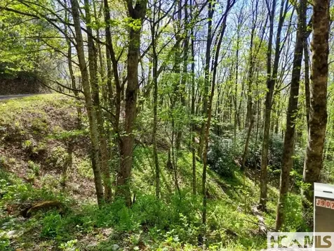 0 Pipetrack Gap Road Scaly Mountain NC 28775