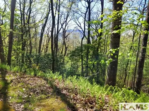 0 Pipetrack Gap Road Scaly Mountain NC 28775