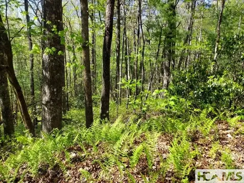 0 Pipetrack Gap Road Scaly Mountain NC 28775