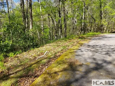 0 Pipetrack Gap Road Scaly Mountain NC 28775