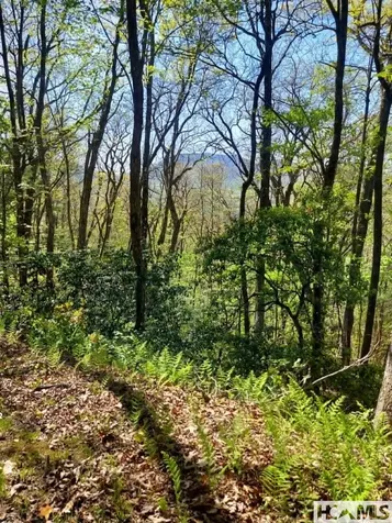 0 Pipetrack Gap Road Scaly Mountain NC 28775