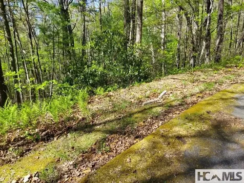 0 Pipetrack Gap Road Scaly Mountain NC 28775