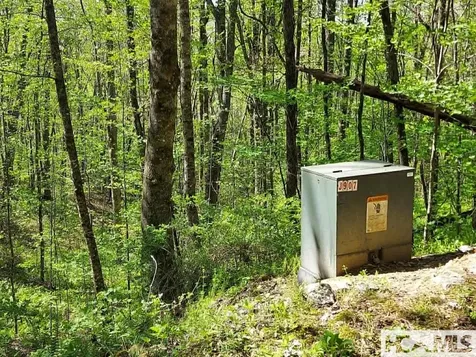 0 Pipetrack Gap Road Scaly Mountain NC 28775