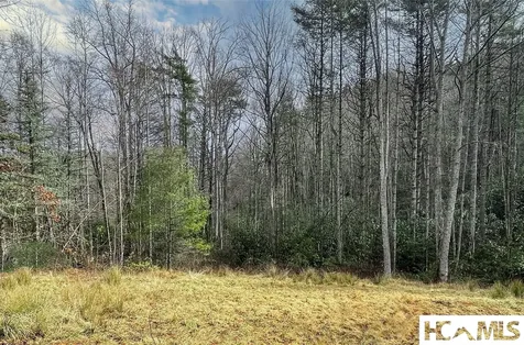 Lot 4 Saratay Falls Drive Cashiers NC 28717
