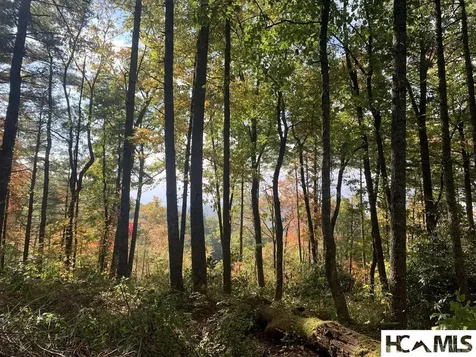 Lot 4 Saratay Falls Drive Cashiers NC 28717