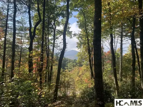 Lot 4 Saratay Falls Drive Cashiers NC 28717