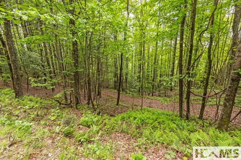 1325 Golden Road Lake Toxaway NC 28747