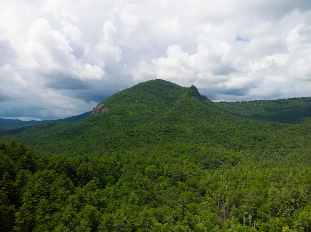 1090 Zeb Alley Road Cashiers NC 28717
