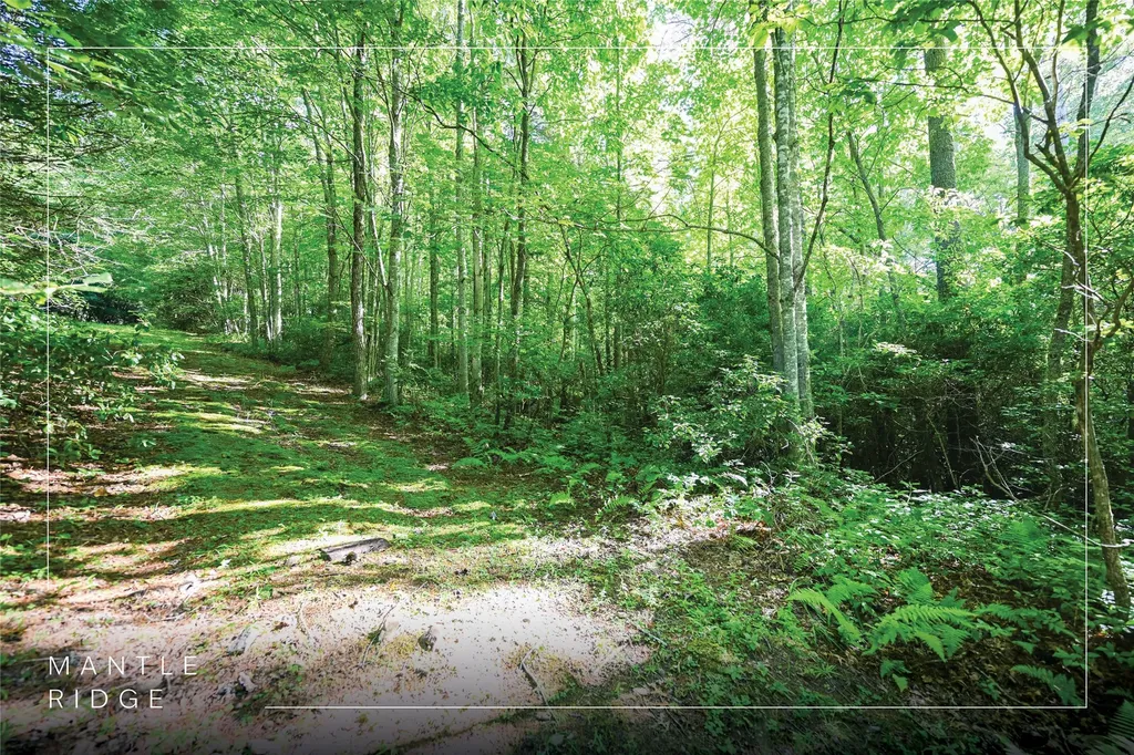 Lot 5 Luckies Way Cashiers NC 28717