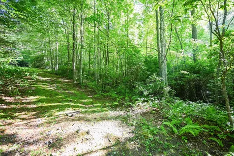 Lot 5 Luckies Way Cashiers NC 28717