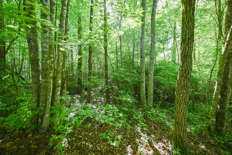 Lot 5 Luckies Way Cashiers NC 28717
