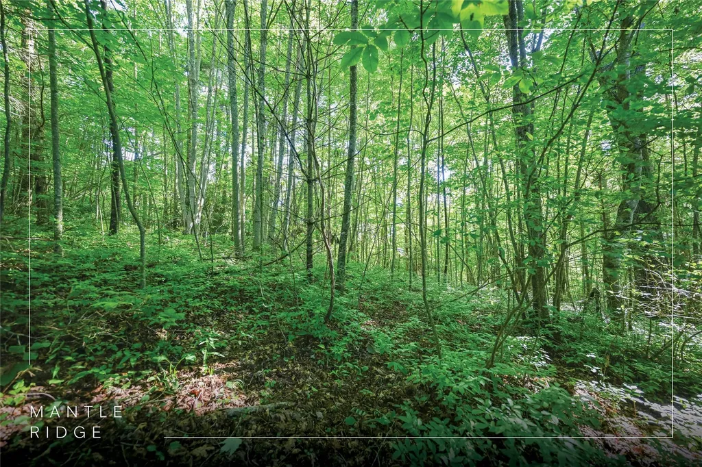 Lot 4 Luckies Way Cashiers NC 28717