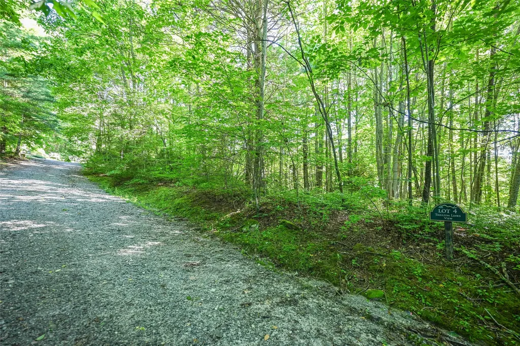 Lot 4 Luckies Way Cashiers NC 28717