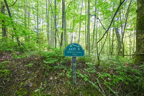 Lot 4 Luckies Way Cashiers NC 28717