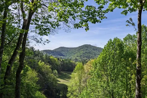 160 Lady Slipper Court Sapphire NC 28774