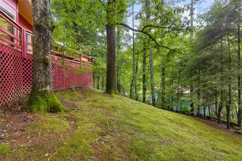 82 Village Way Sapphire NC 28774