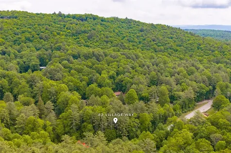 82 Village Way Sapphire NC 28774