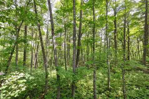 2147 Bowery Road Highlands NC 28741