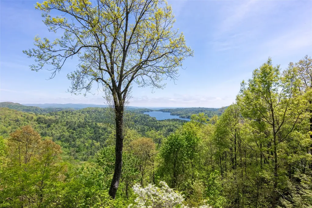 562 Panther Ridge Road Lake Toxaway NC 28747