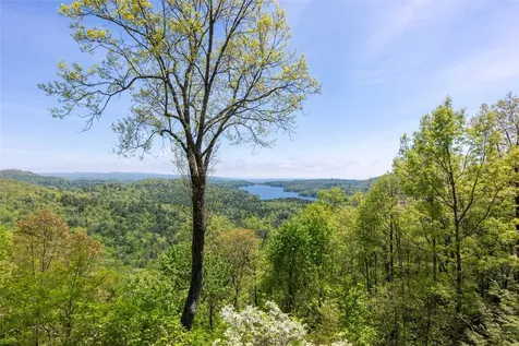 562 Panther Ridge Road Lake Toxaway NC 28747