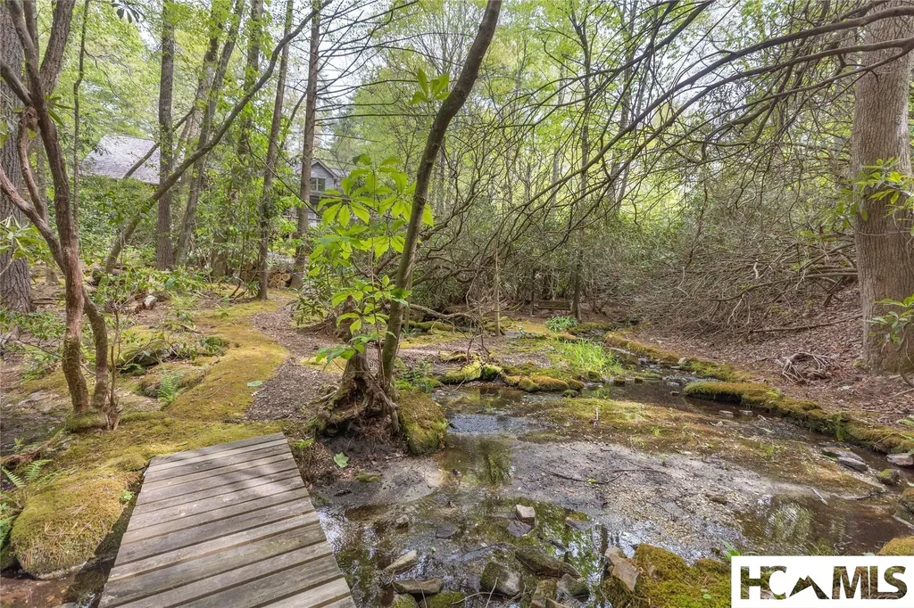 77 Headwater Drive Cashiers NC 28717