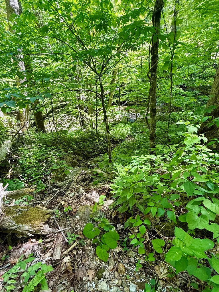 1 Highway 107 Highway Glenville NC 28736