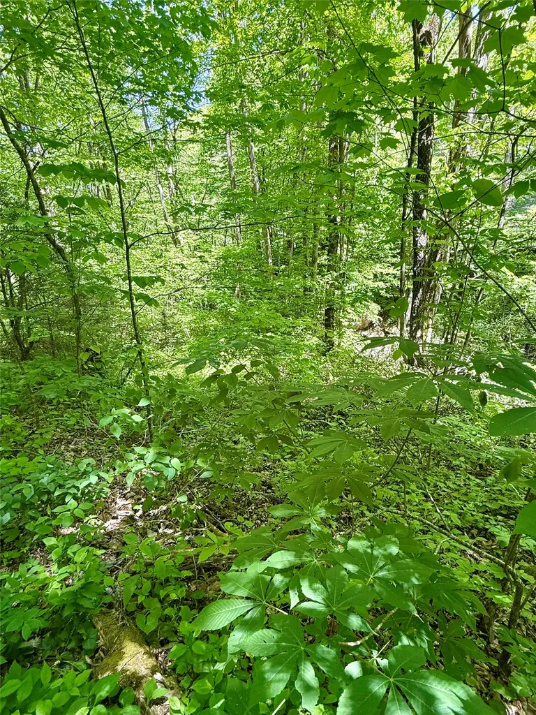 1 Highway 107 Highway Glenville NC 28736