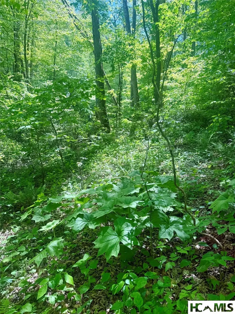 1 Highway 107 Highway Glenville NC 28736