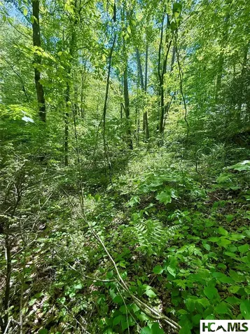 1 Highway 107 Highway Glenville NC 28736