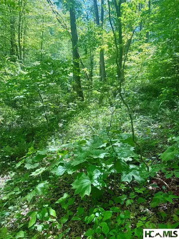 1 Highway 107 Highway Glenville NC 28736