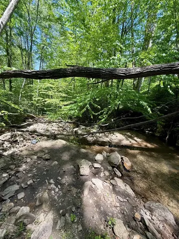 1 Highway 107 Highway Glenville NC 28736