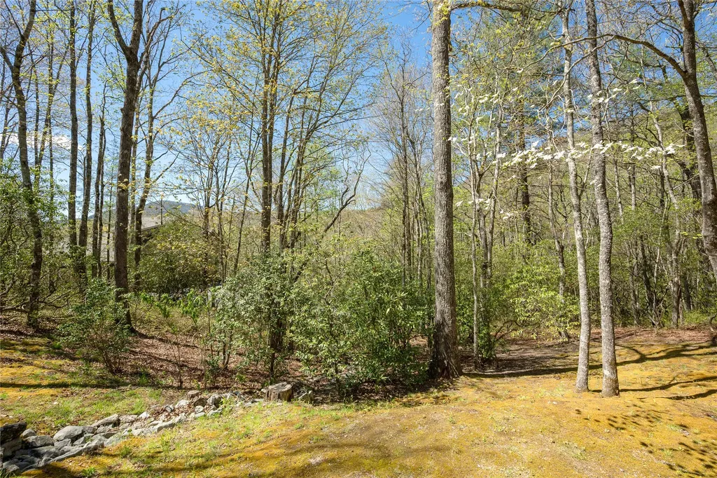 222 High Rock Vista Sapphire NC 28774