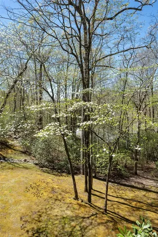222 High Rock Vista Sapphire NC 28774